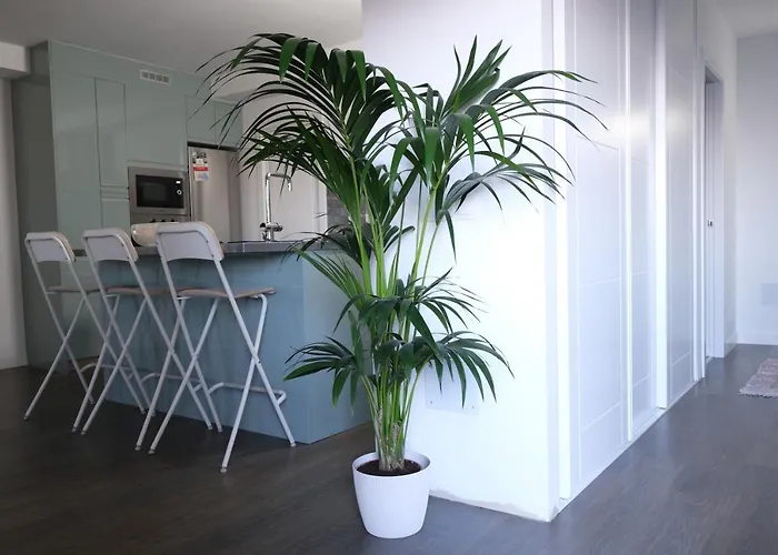 Vivienda Vacacional El Cabo